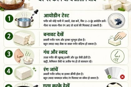 5 minute me nakli paneer kaise pehchane – 5 easy home tests